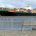 Geländer an der Elbe in Hamburg mit Blick auf ein Containerschiff.