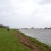 Sturmflut an der Elbe am 30.1.2022 mit Blick über den Deichfuß an der Hetlinger Schanze