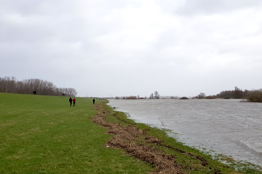 Sturmflut an der Elbe am 30.1.2022 mit Blick über den Deichfuß an der Hetlinger Schanze