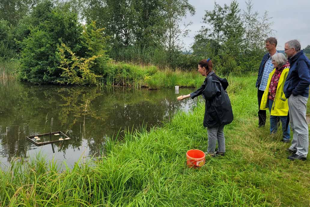 Eine Kollegin beim Brötchen Zielwerfen in den Futterrahmen im Karpfenteich. Drei Kollegen sehen zu.