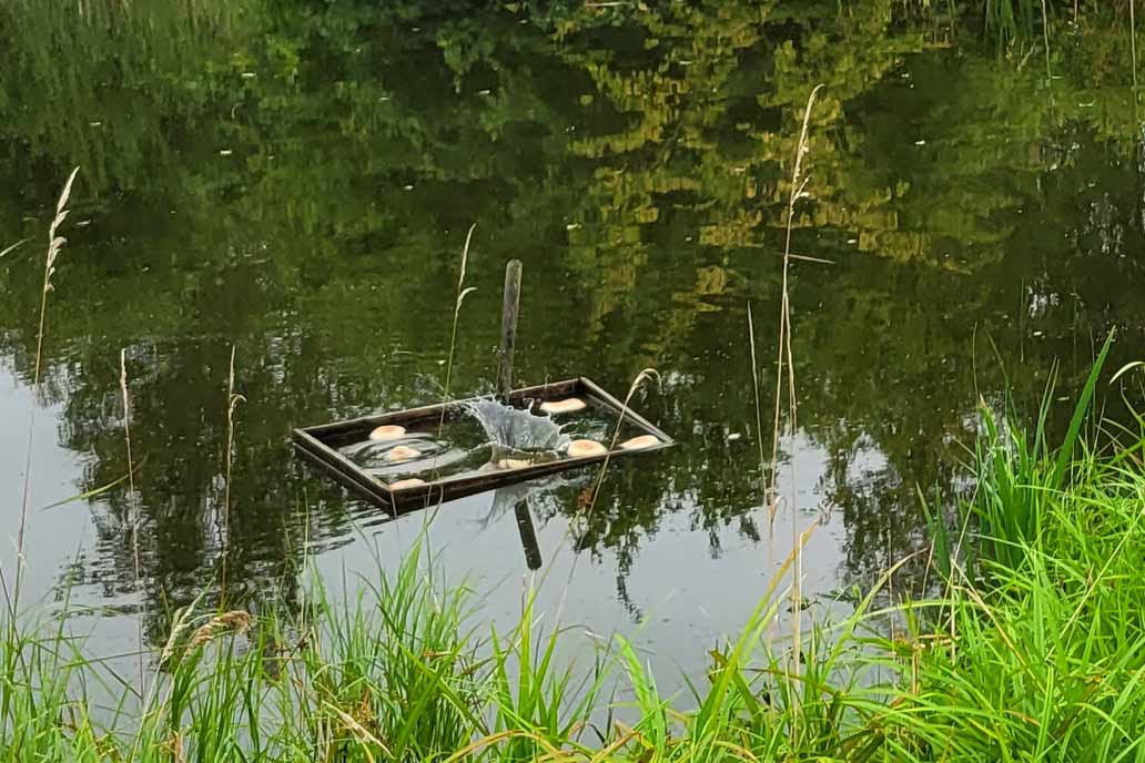 Das Brötchen landet im Futterrahmen im Karpfenteich. Das Wasser spritzt an den Seiten hoch.