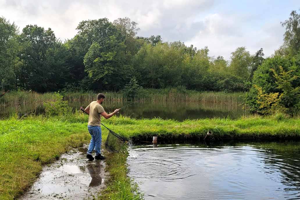 Ein Kollege hat eine Forelle geangelt und holt sie mit dem Kescher aus dem Wasser.